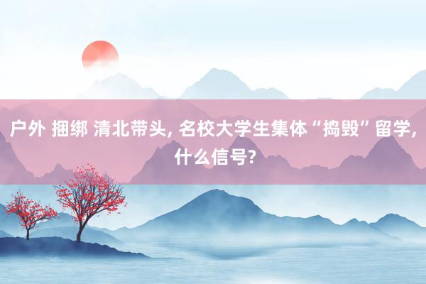 户外 捆绑 清北带头， 名校大学生集体“捣毁”留学， 什么信号?